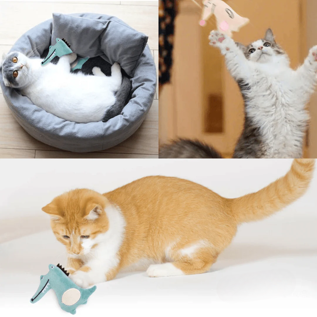 Catnip Bears | Set of 3 Units