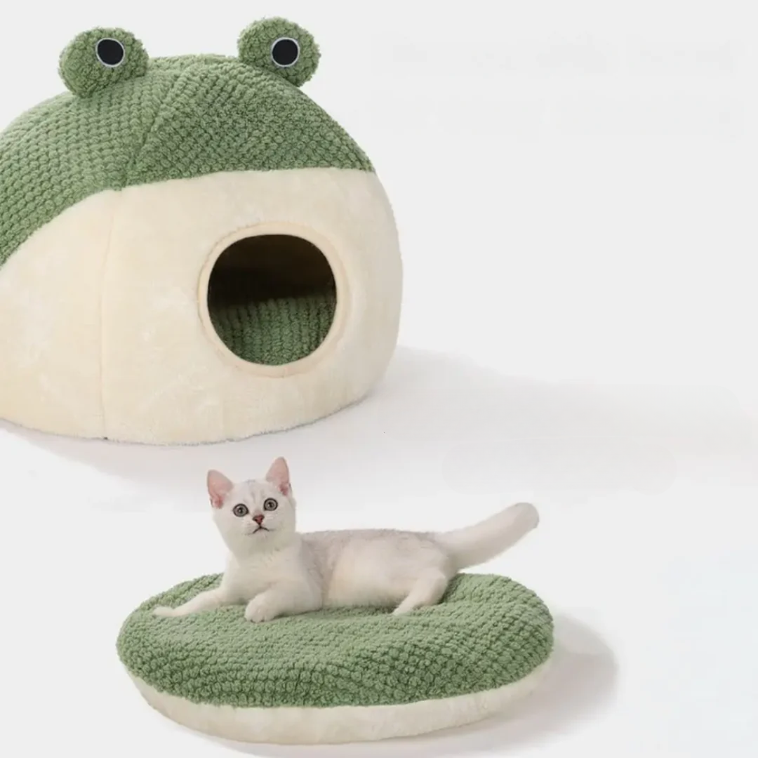 Frog Hideout