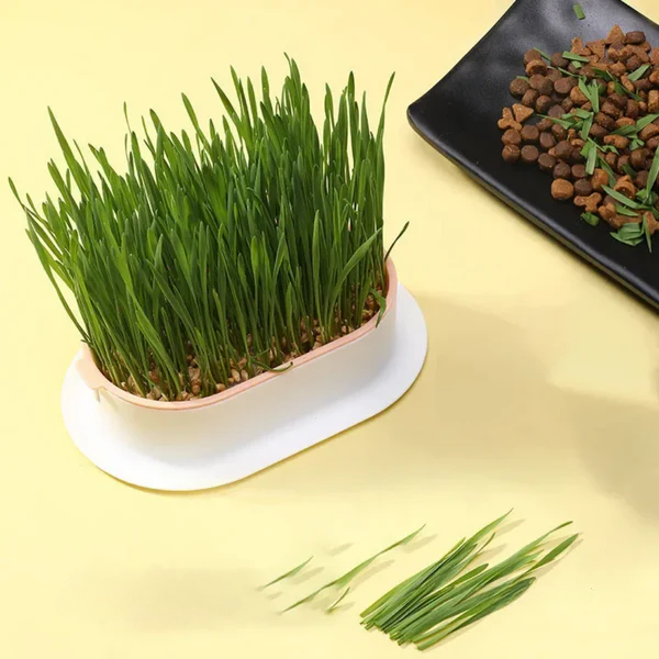 Grass Pot with Waste Collector