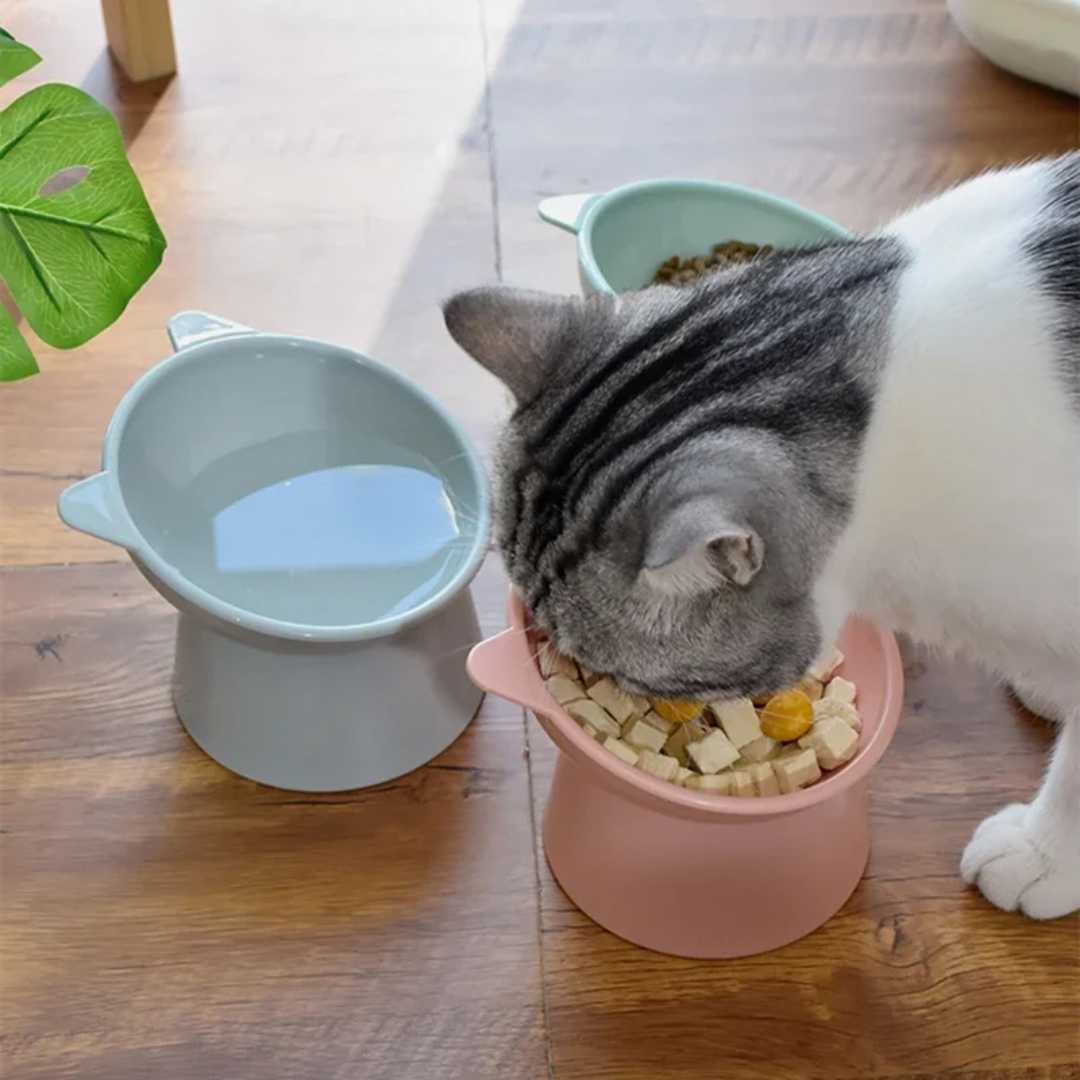 Pantone Bowl
