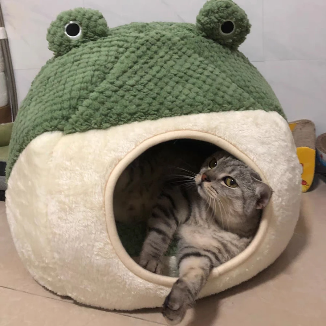 Frog Hideout