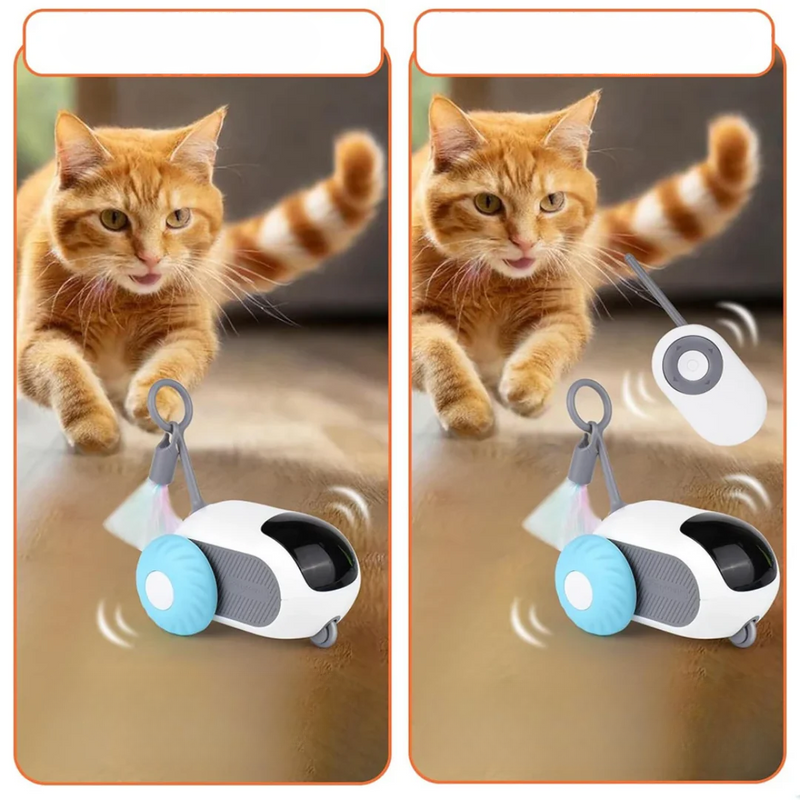Robot Mouse