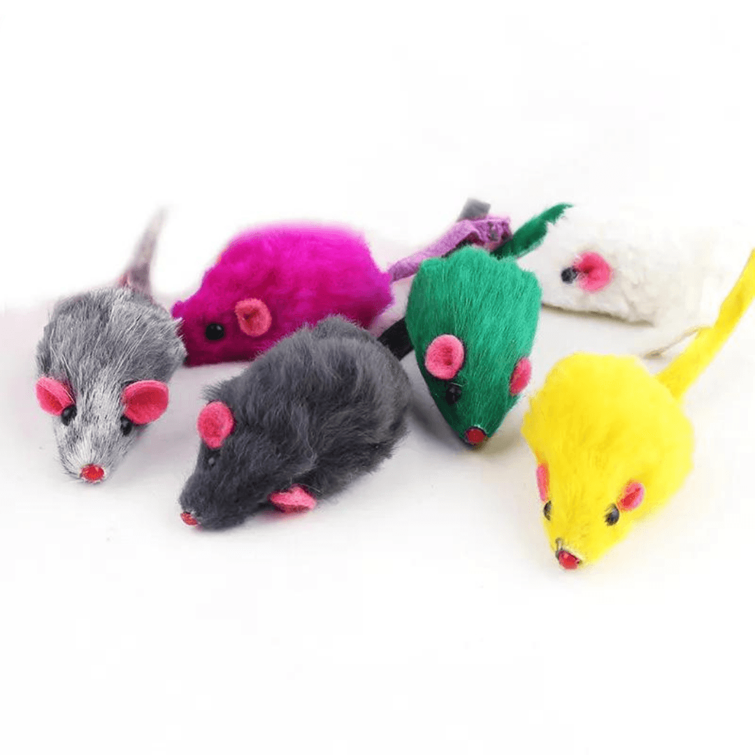 Assorted Mice | 10-Piece Kit