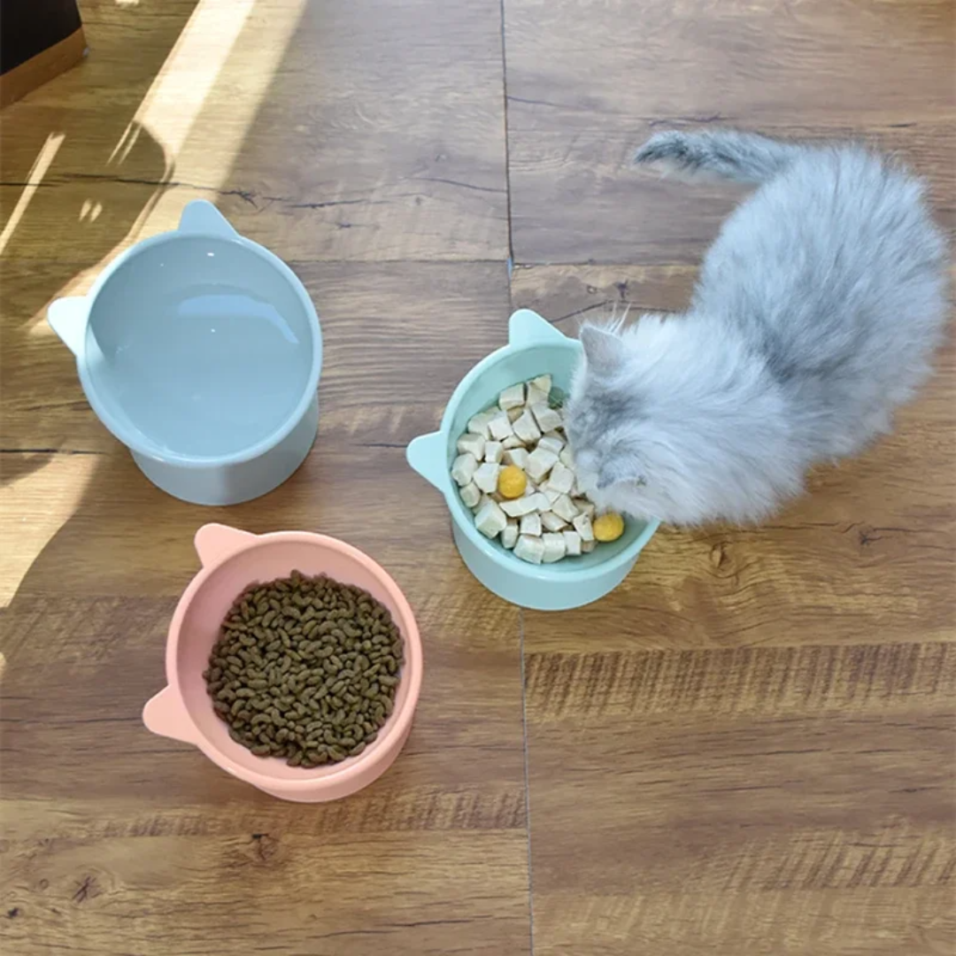 Pantone Bowl