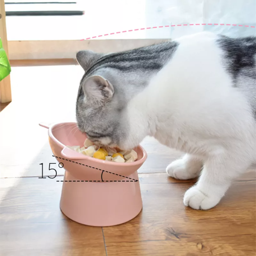Pantone Bowl