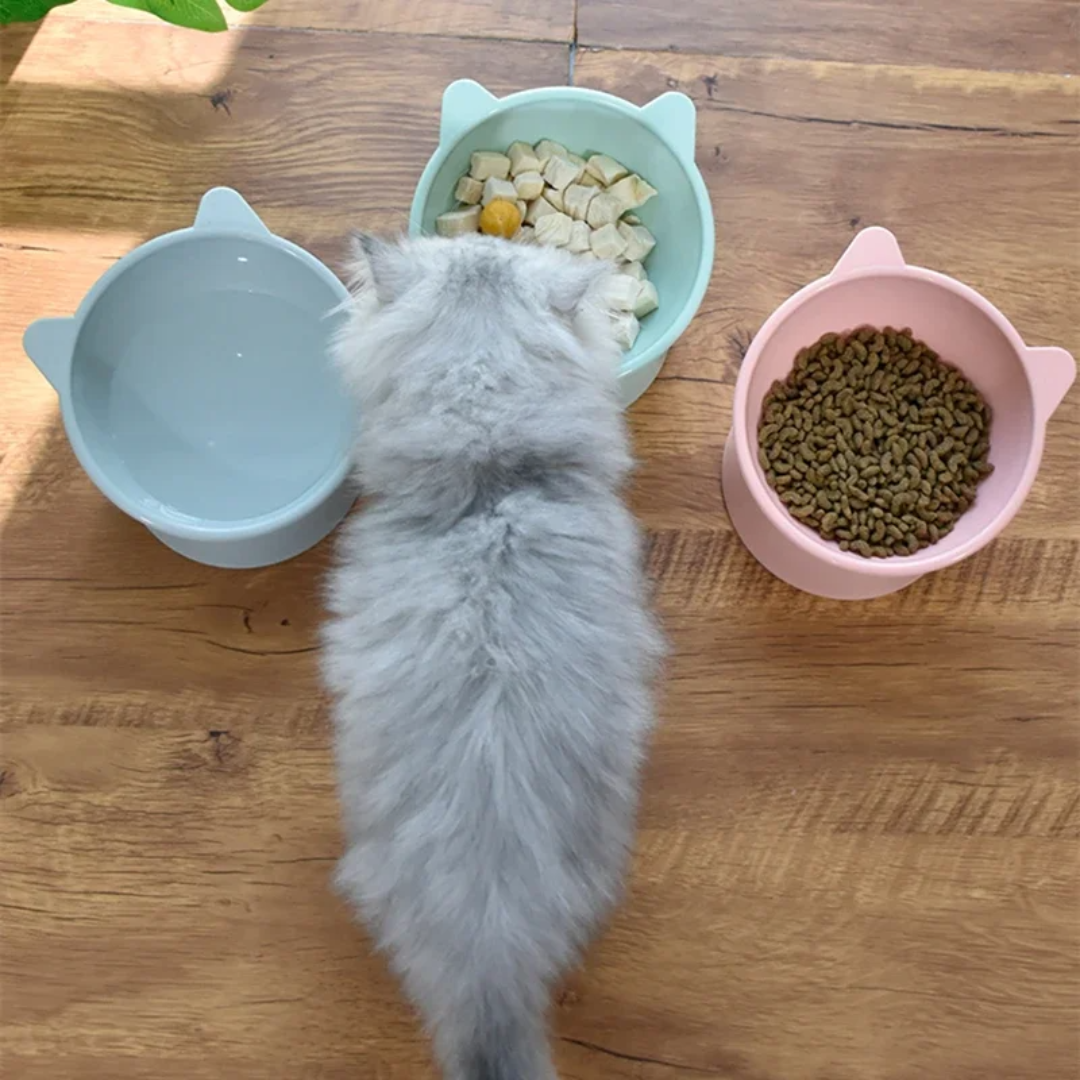 Pantone Bowl