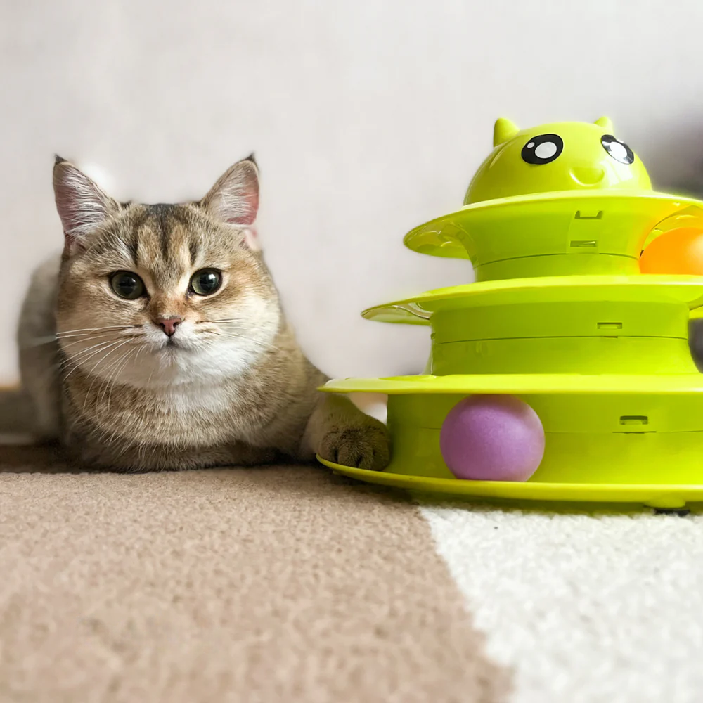 Interactive Toys