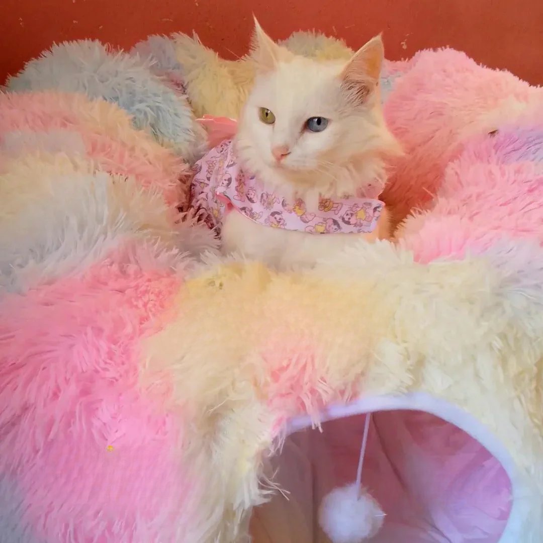 Plush Tunnel Hideout