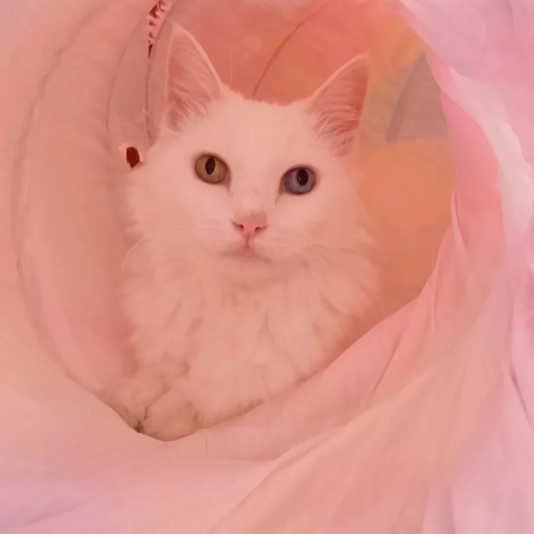 Plush Tunnel Hideout