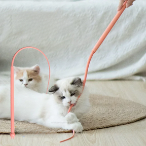 Rat Tail Wand Toy | Set of 2 Units