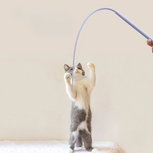 Rat Tail Wand Toy | Set of 2 Units