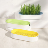 Pantone Grass Pot