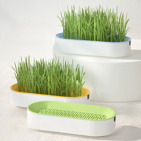 Pantone Grass Pot