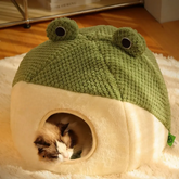 Frog Hideout