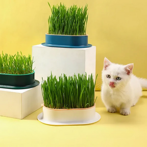 Grass Pot with Waste Collector