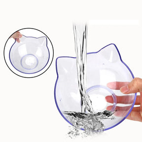 Transparent Bowl