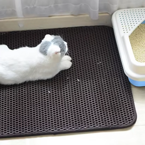 Litter Trapping Mat