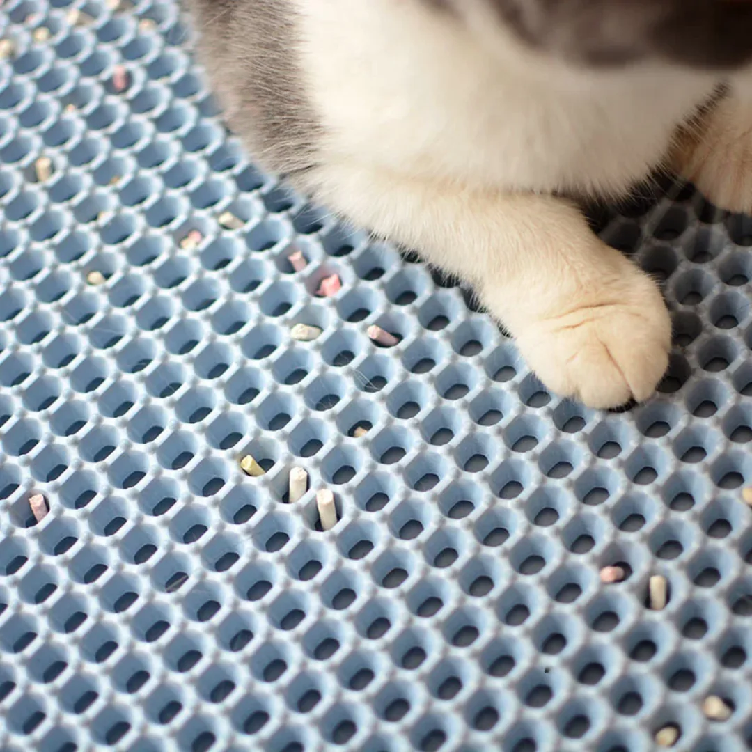 Litter Trapping Mat