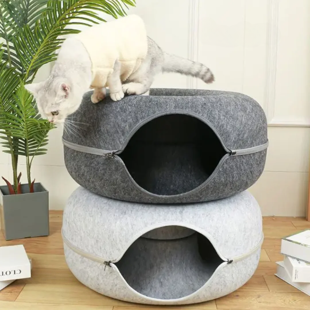 Kitten Tunnel Nest