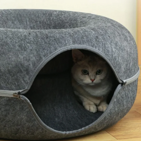 Kitten Tunnel Nest