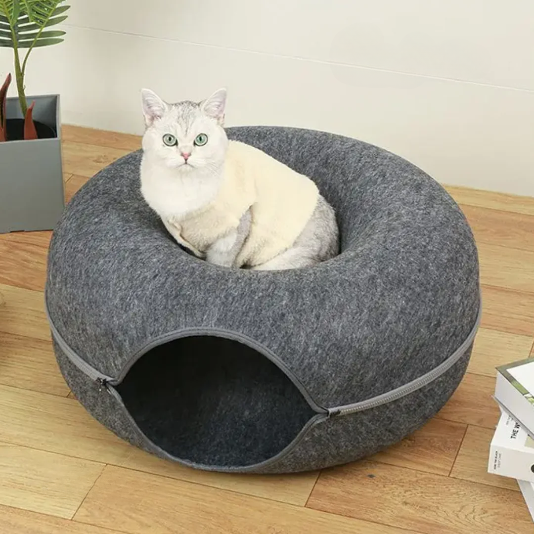 Kitten Tunnel Nest