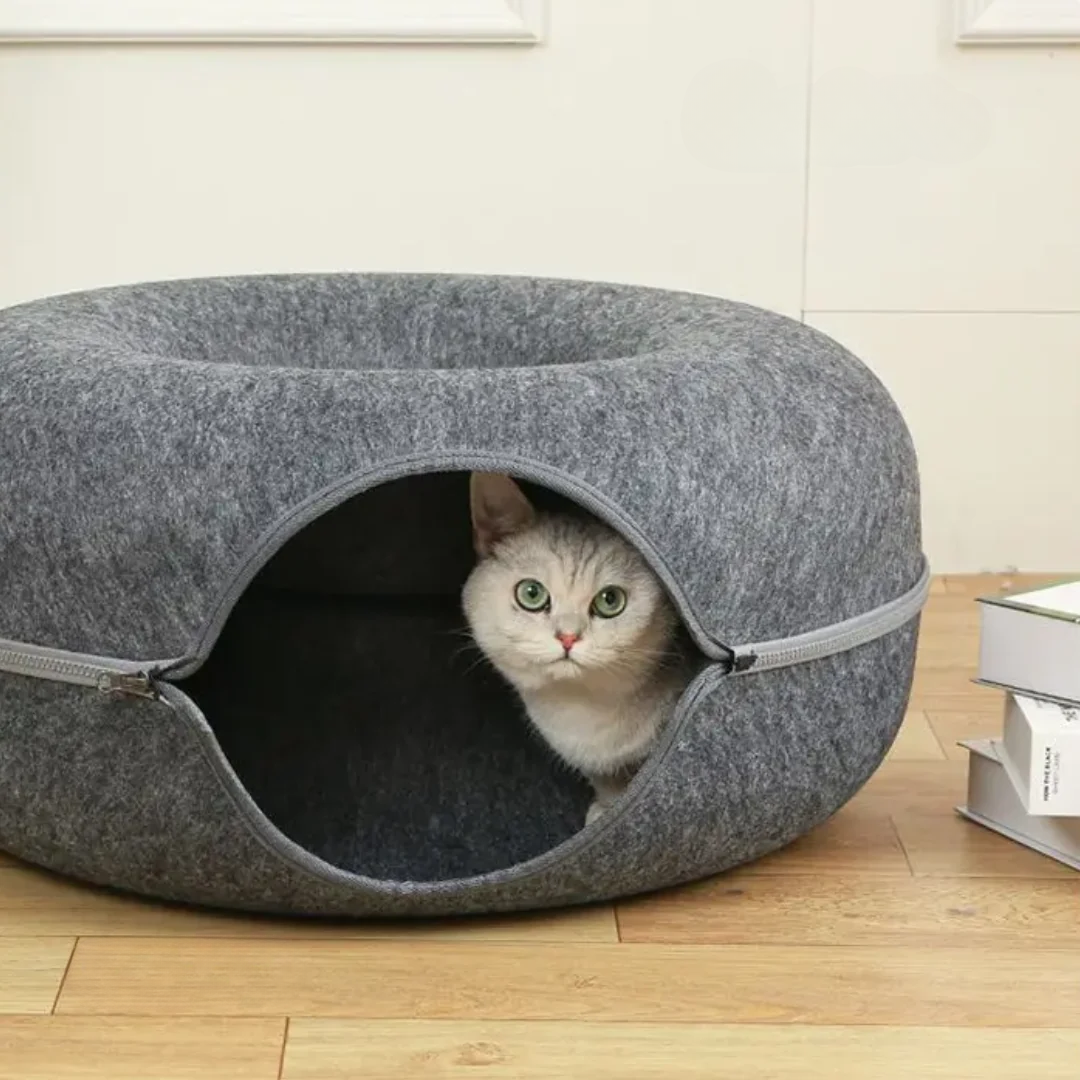 Kitten Tunnel Nest