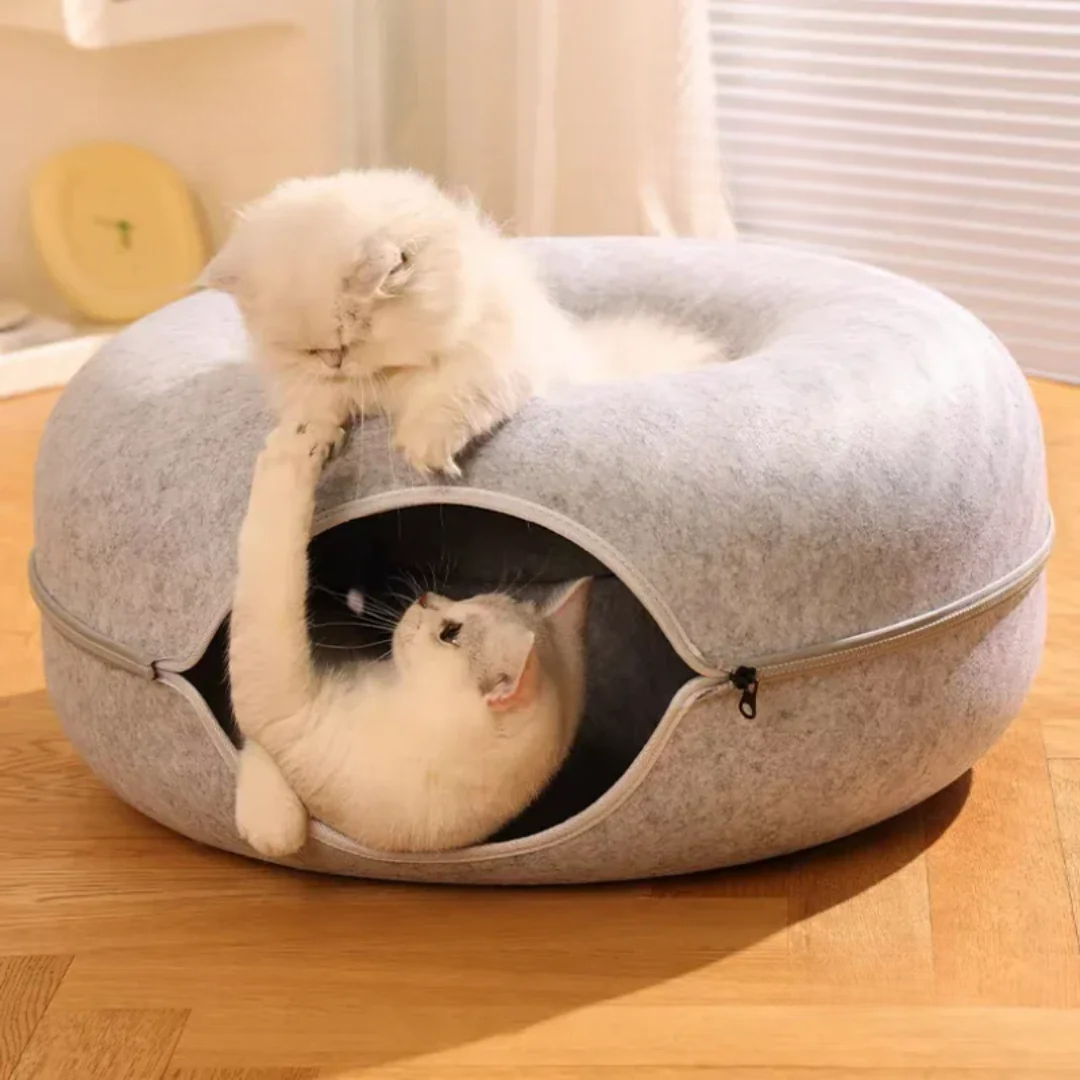 Kitten Tunnel Nest
