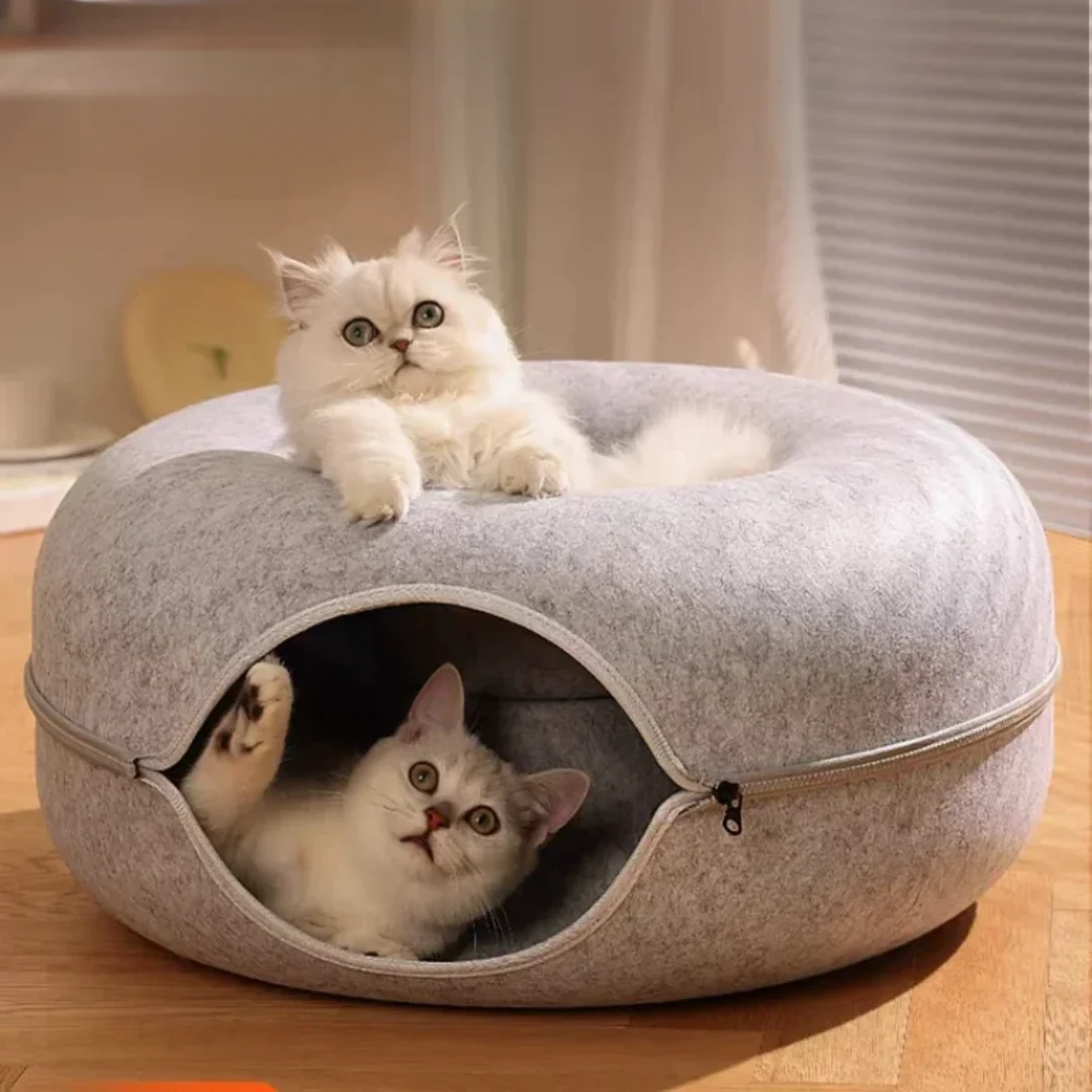 Kitten Tunnel Nest