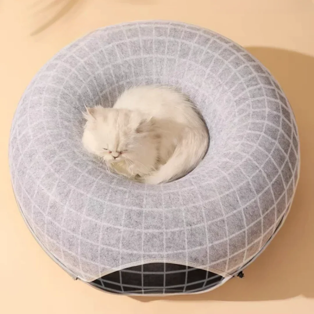 Kitten Tunnel Nest