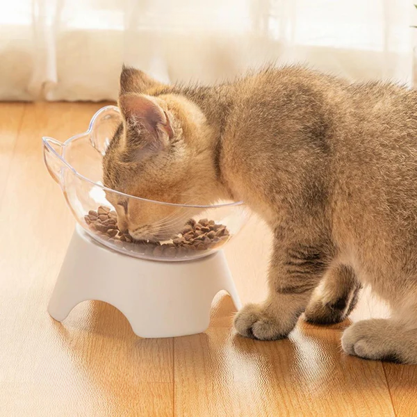 Transparent Bowl