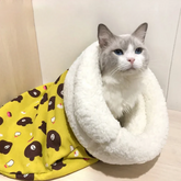 Lined Sleeping Bag