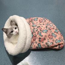 Lined Sleeping Bag