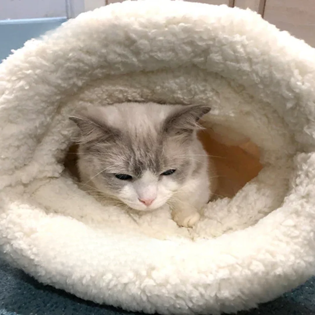Lined Sleeping Bag