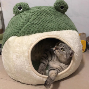 Frog Hideout
