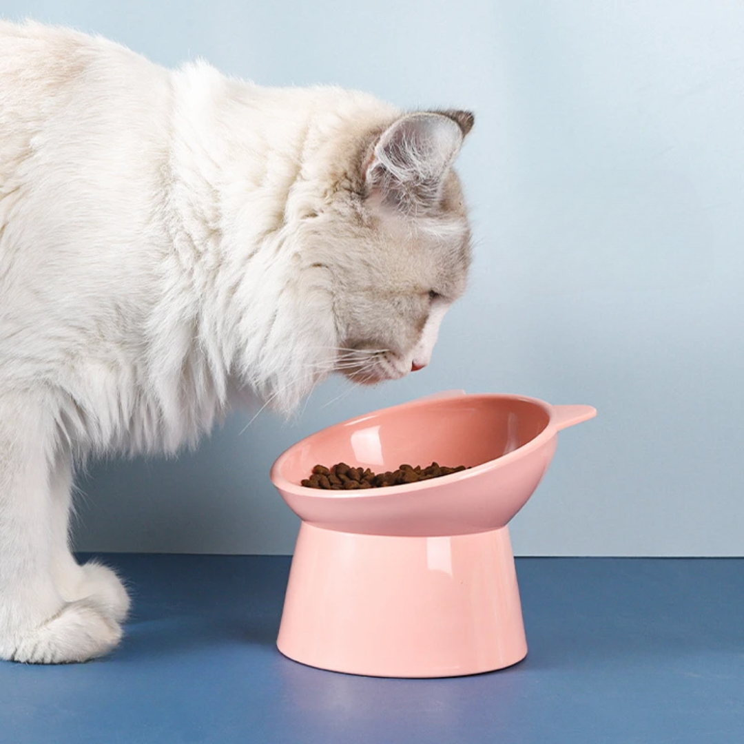 Pantone Bowl