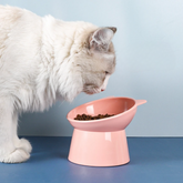 Pantone Bowl