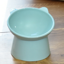 Pantone Bowl