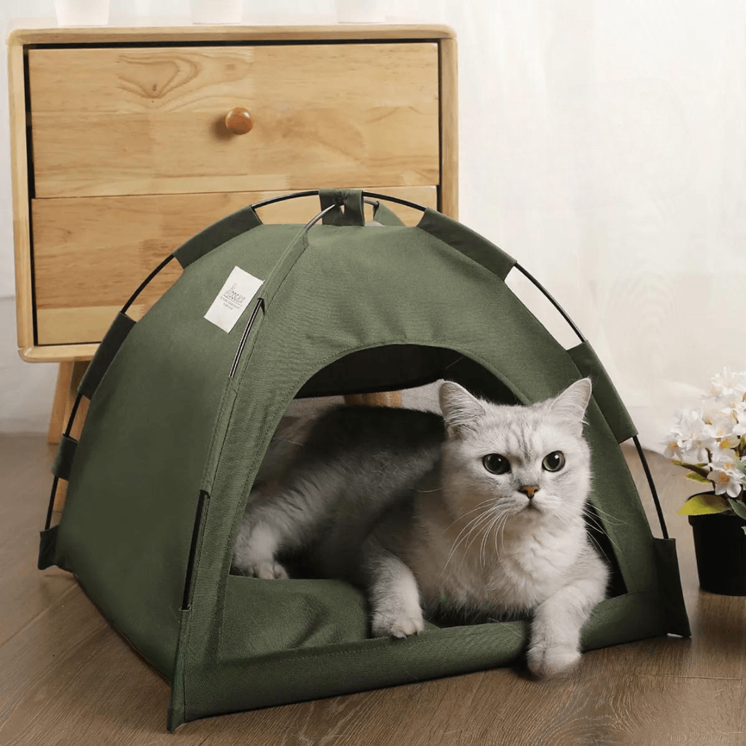 Tent Hideout