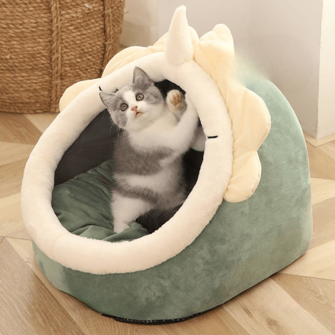 Fun Hideout