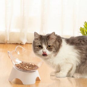 Transparent Bowl