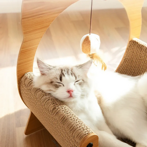 Kitten Scratcher