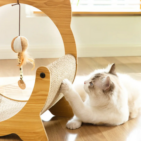 Kitten Scratcher
