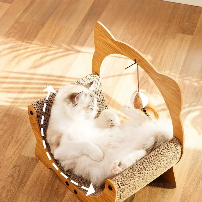 Kitten Scratcher