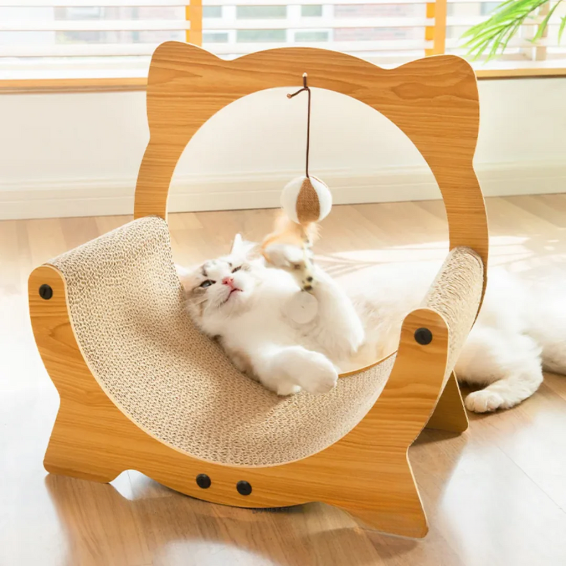Kitten Scratcher