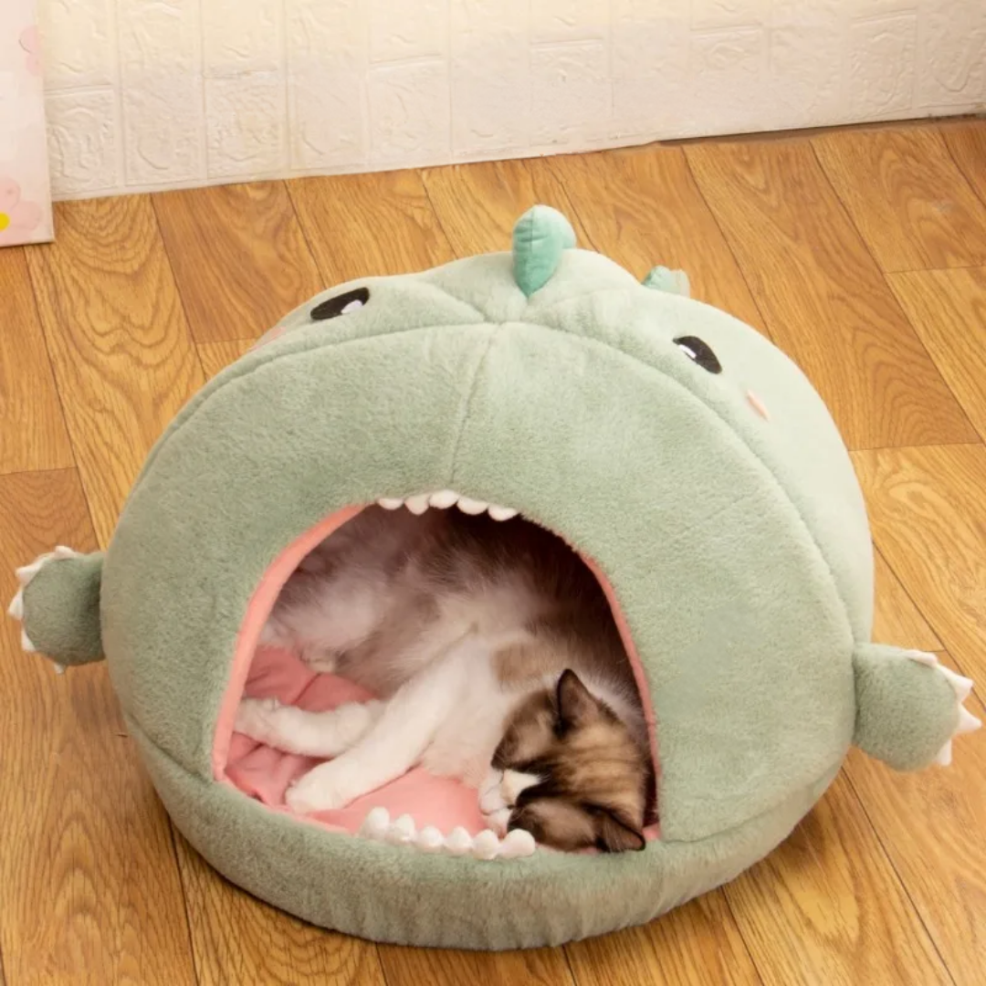 Dinosaur Hideout